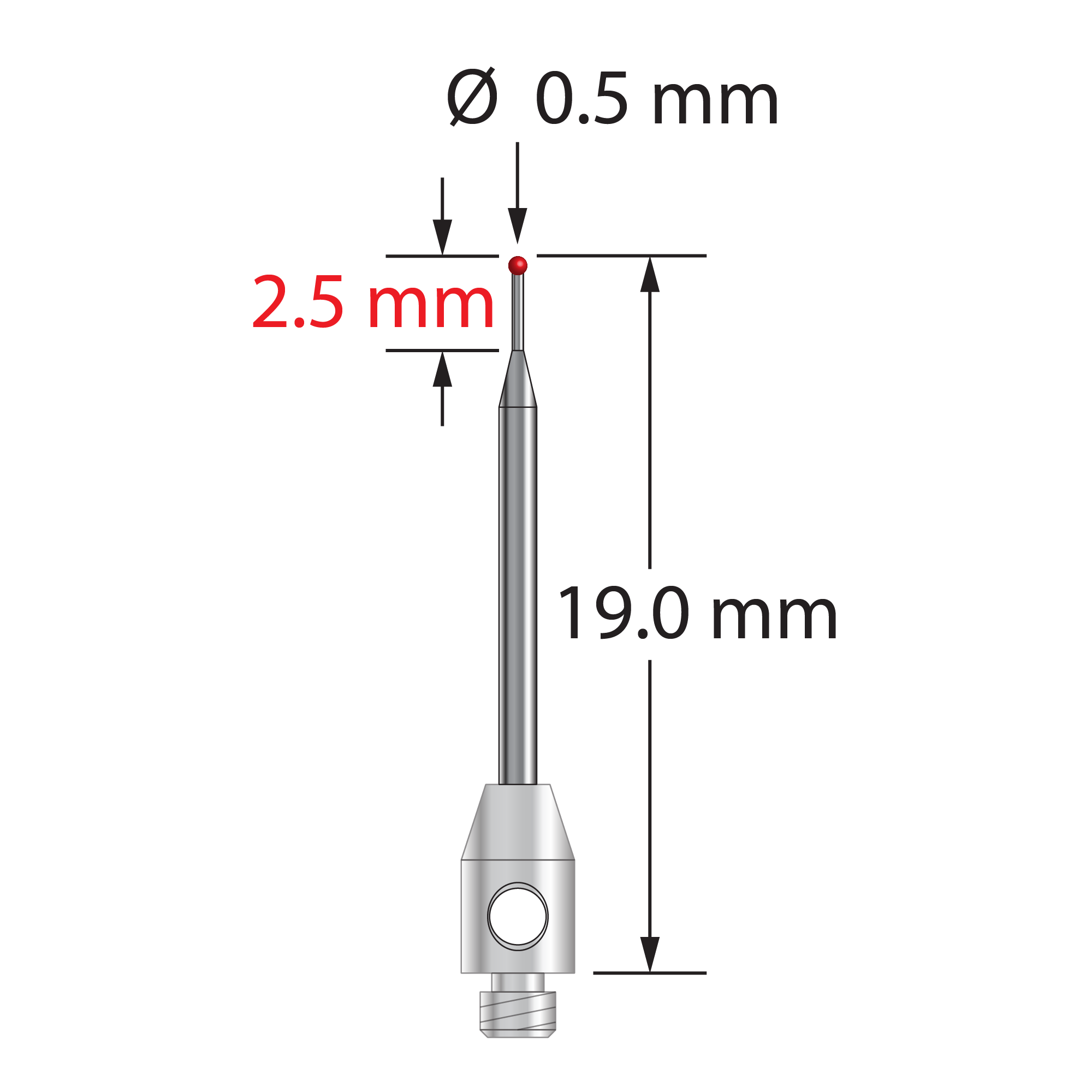 TM2-0519-R M2 stylus with 0.5mm ruby ball, tapered carbide stem, and stainless steel base, 19mm long.