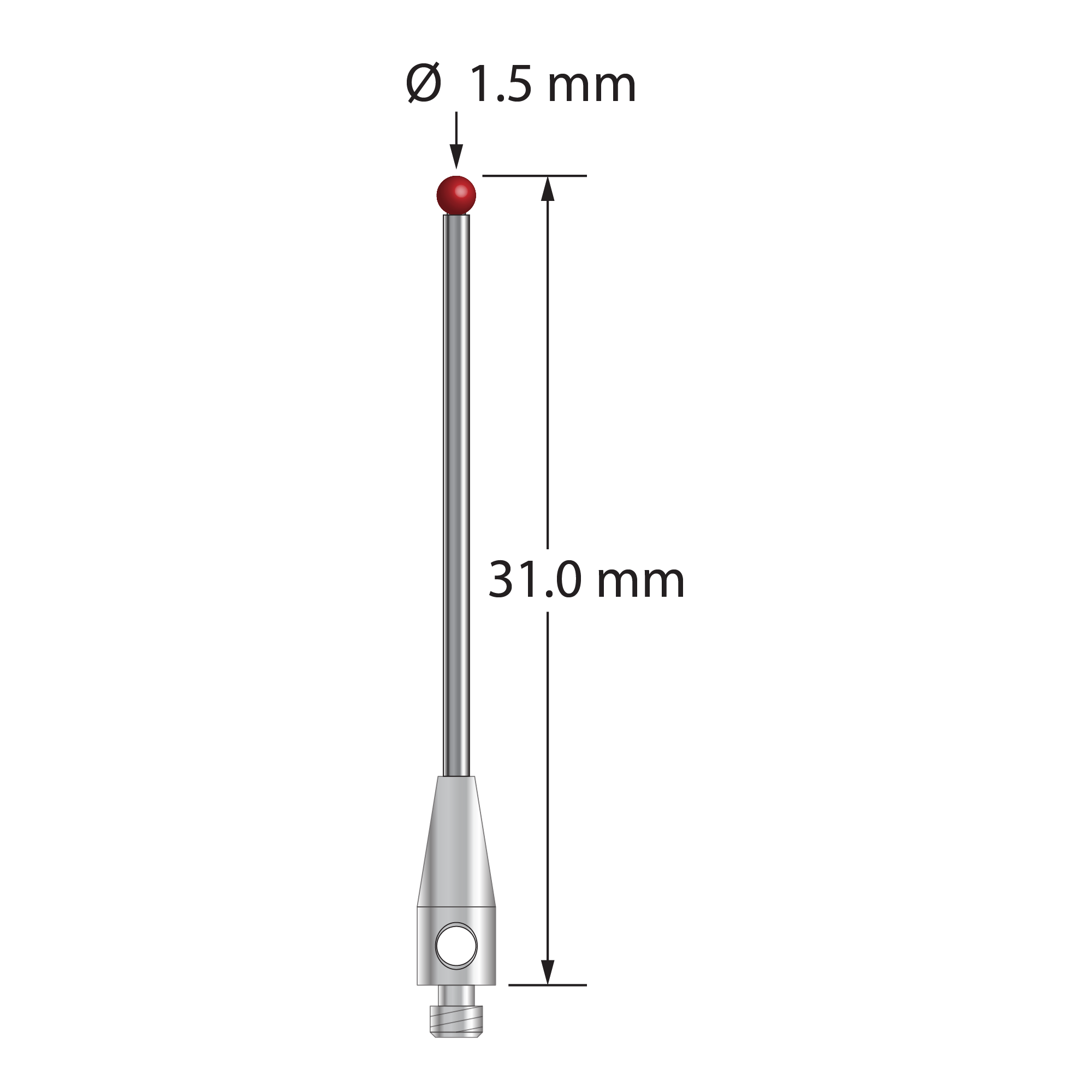 TM2-1531-DS1 M2 stylus with 1.5mm ruby ball, carbide stem, and stainless steel base, 31mm long.