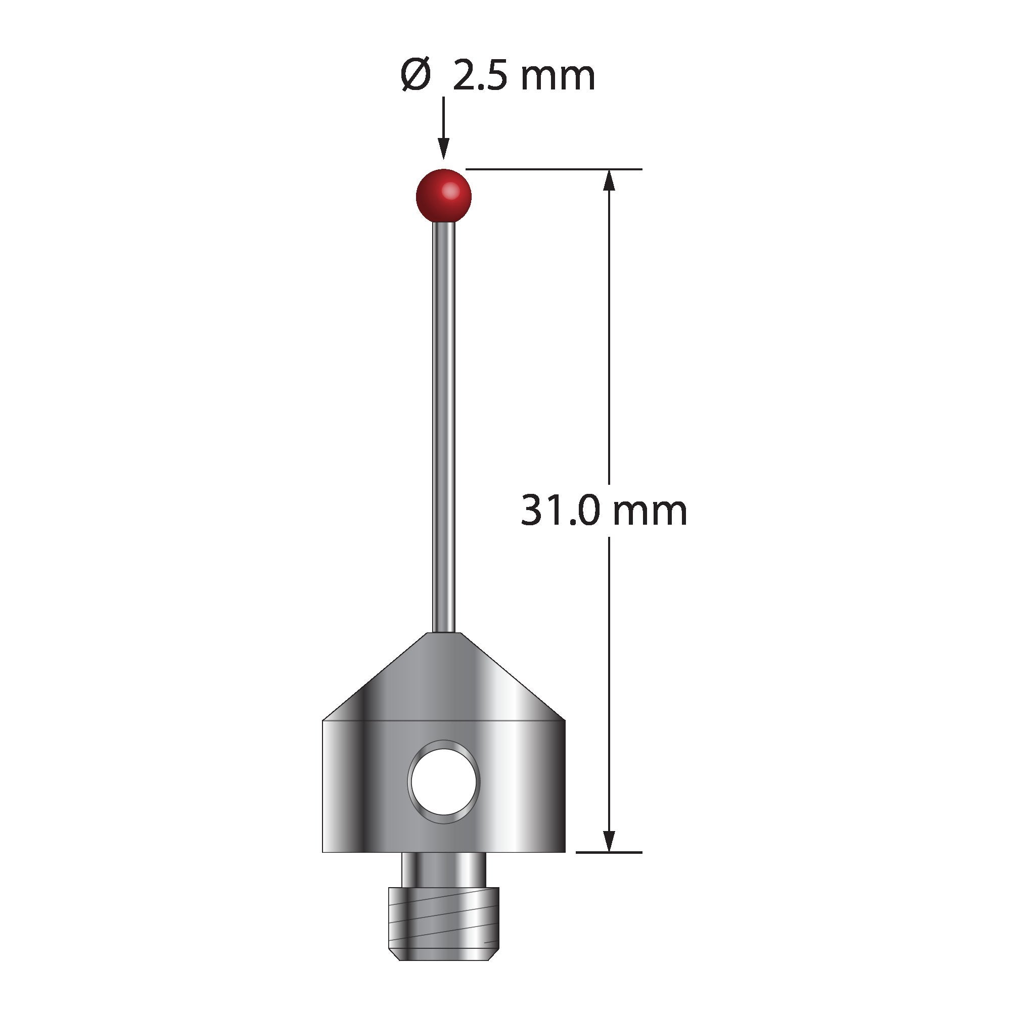 AFG-2531-DS1 M5 stylus with 2.5mm ruby ball, carbide stem, and stainless steel base, 31mm long.